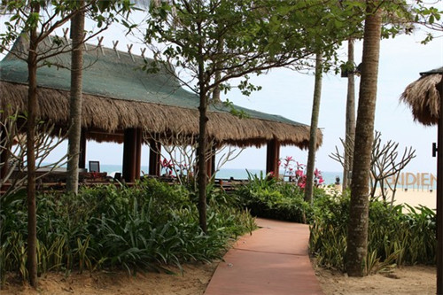 茶园奶茶店加盟费多少，茶园店是什么意思