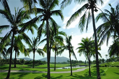 火锅店外墙半墙设计方案