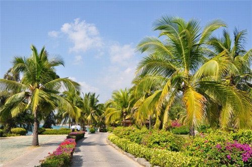好想喝奶茶店，想喝奶茶啦