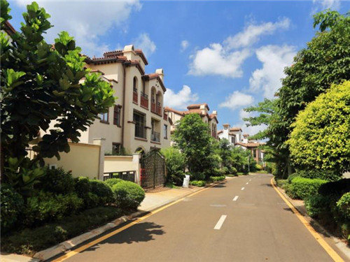 不高不矮的烦恼是什么歌（不高不矮是个好人才,是什么歌）