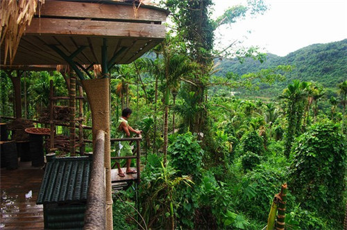 抖音网英明是mb吗（网民抖音）