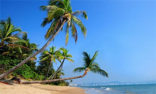 方舟端游有麦克风吗手机（方舟手游能开麦吗）